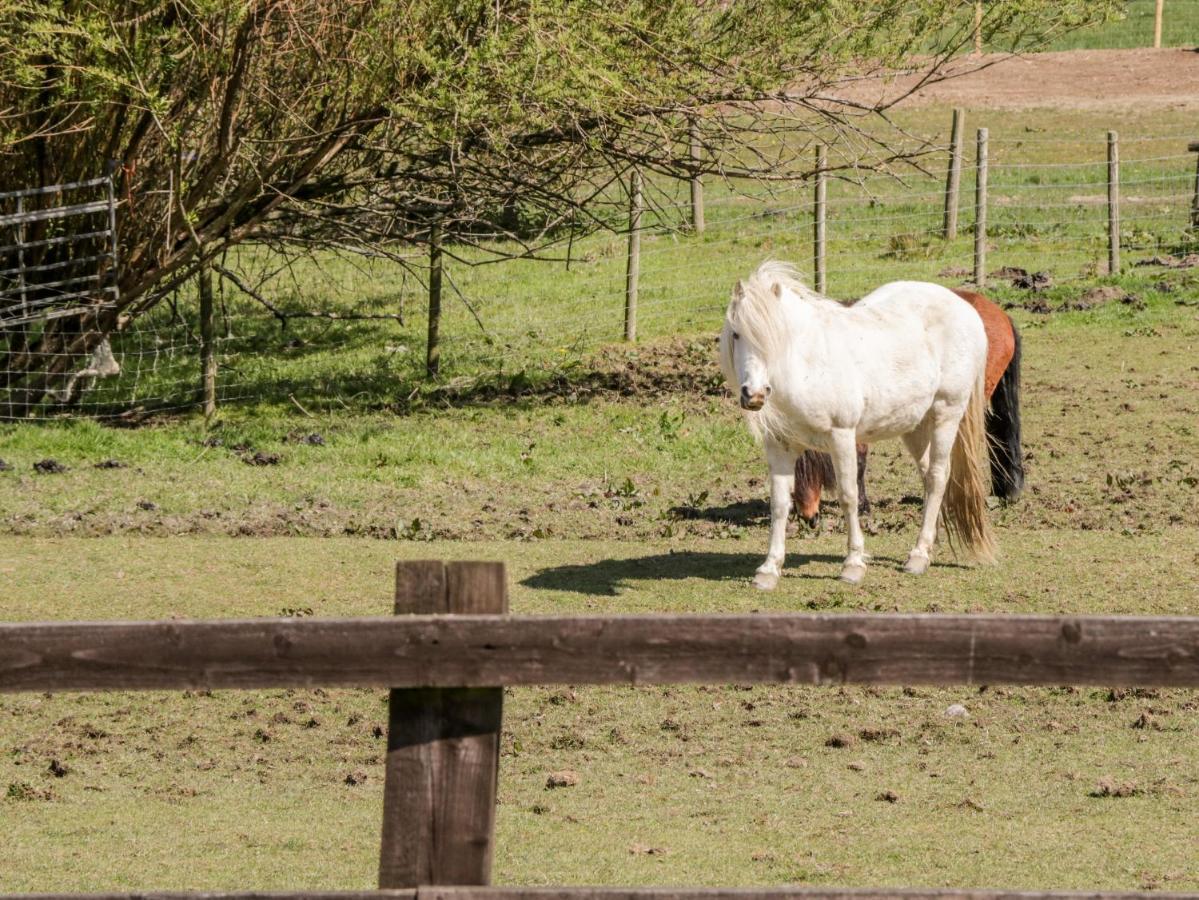 콘위 Oakwood Stables 빌라 외부 사진